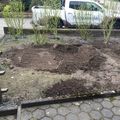 Profil von GalaBau Schlüter in Dortmund - MyHammer