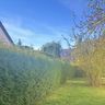 Haus & Garten Service Vu & Da