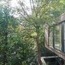 Zimmerei/Holzbau Höfler