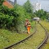 RMW - Dienstleistungen