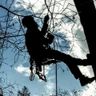 Climb 'n' Care Baumpflege