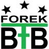 BFB Bau-Fassaden-Beschichtungen Forek GmbH