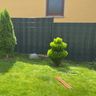 Özi gartenpflege