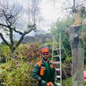 Gartenservice Soltani Solms