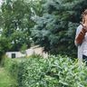 Gartelly - Deine Gartenhilfe
