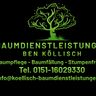 Baumdienstleistungen Köllisch