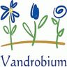 Vandrobium | Michael Kiermayer Gartenbau