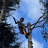Wessels Baum&Garten