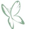 Der Schmetterling
