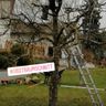Crischa Kreis Garten und Landschaftsbau