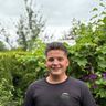 Schirmer Gartenpflege