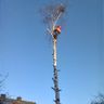 Norman Kämpfer Gefahrenfällungen und Gartenservice