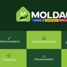Moldauhausundgartenservice