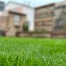 Gartenpflege Fabian Hirschle