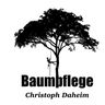 Baumpflege Daheim
