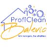 ProfiClean - Balevic