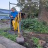 Nick Neddermeyer Garten- und Landschaftsbau