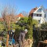 Micha's Dienstleistungsservice rund im und ums Haus