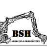 BSH  Abbruch  & Erdarbeiten