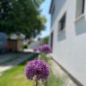 Gartengestaltung Mendle 