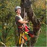 Baumfällung und Baumpflege Geiling