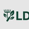 LD Reinigung