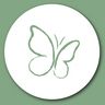 Der Schmetterling