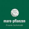 mare-pflanzen , F. Schmidt ,Dienstleistungen und Handel rund um die Pflanze
