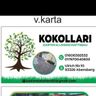 Bekim Kokollari