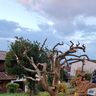 Hasenbau im Garten und Landschaftsbau
