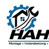 Hahn-MIS