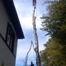 Holzmarcus - Bausachverständigenbüro