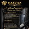 Balyoz reinigungsservice