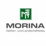Morina