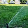 Steinbach Gartenservice Magdeburg