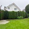 LIAA              Gartenservice    Gartenpflege