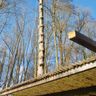 Maximilian Tölpe Garten und Landschaftsbau