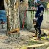 Garten- und Baumpflege A&O