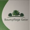 Baumpflege Geier