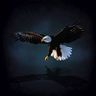 Adler Abbruchservice