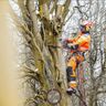 Bamfallbetrib Borgwedel