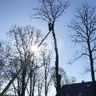 Holzpflegeland 