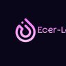 Ecer Logistic