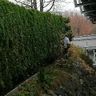 MT Haus & Gartenservice 
