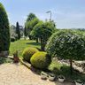 Ademi Garten & Landschaftspflege