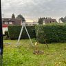 HY Gartenbau 