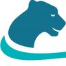 Puma-Spanndecken