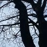 Forst- und Gartenservice Strobl