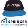 Springer Dienstleistungen