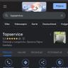 TOPSERVICE